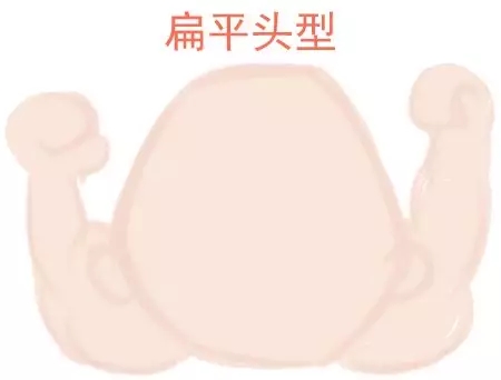 ԲͷվɱͷЩ趼֪2.webp.jpg