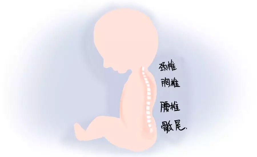 һڰʺƪһҪ1.webp.jpg